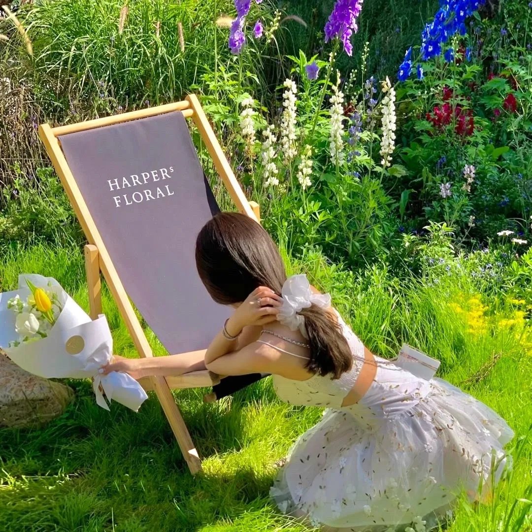 逆袭之逐梦九霄